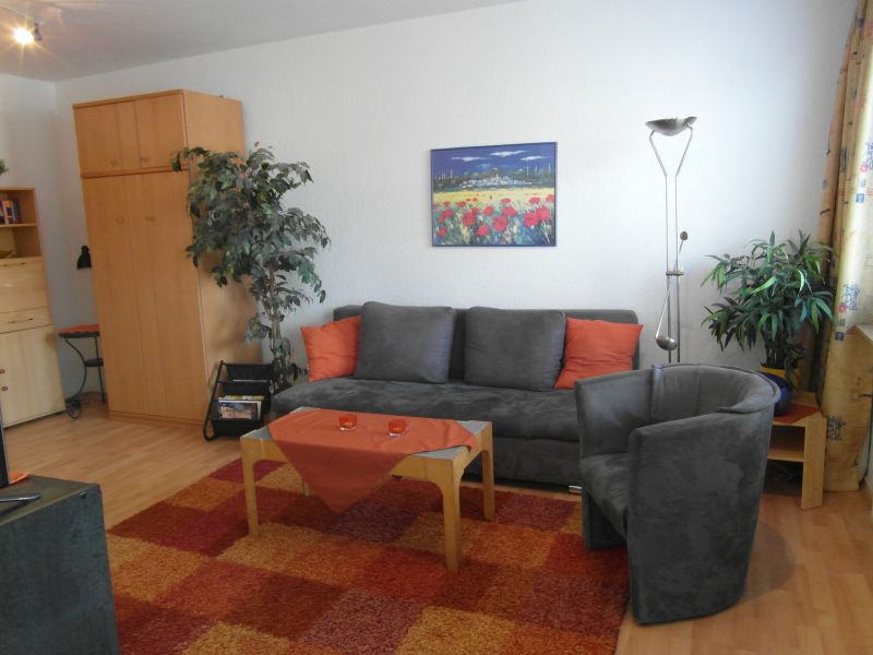 Hannover Messewohnung & Ferienwohnung Krüger: Wohn-Schlafzimmer mit Blick auf Schlafsofa und Schrankbett
