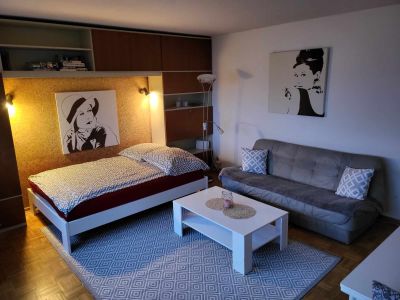 Wohn- / Schlafzimmer